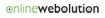 A New Frontier In Website Development - Online Webolution